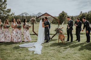 Park Creek Ranch Wedding