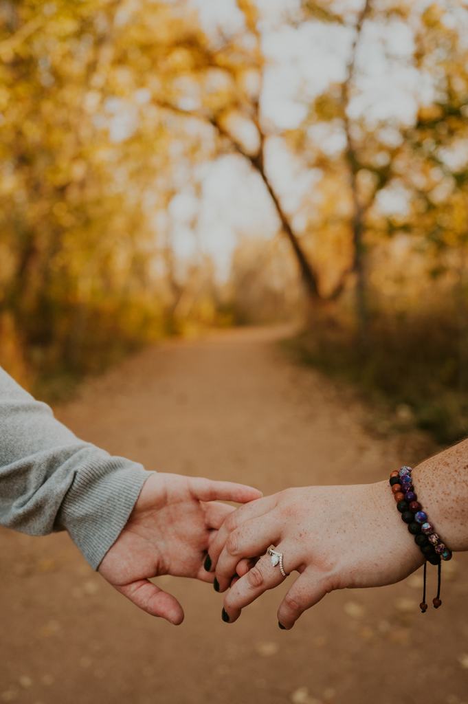 LGBTQ Boise Idaho Proposal