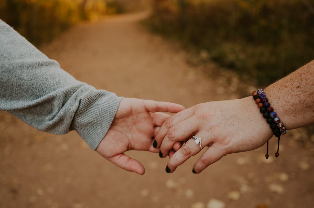 LGBTQ Boise Idaho Proposal