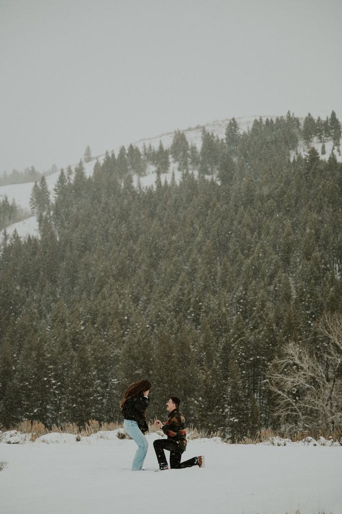 Sun Valley Idaho Proposal in the Winter