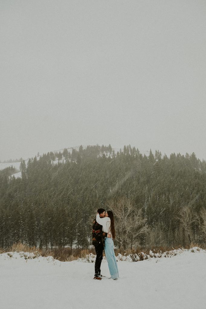 Sun Valley Idaho Proposal in the Winter