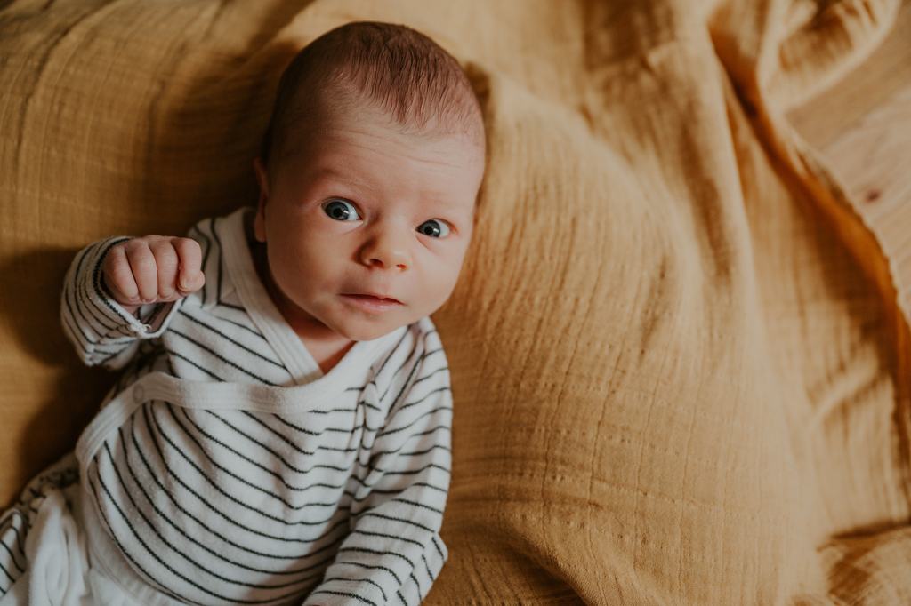 Boise Lifestyle Newborn Photos