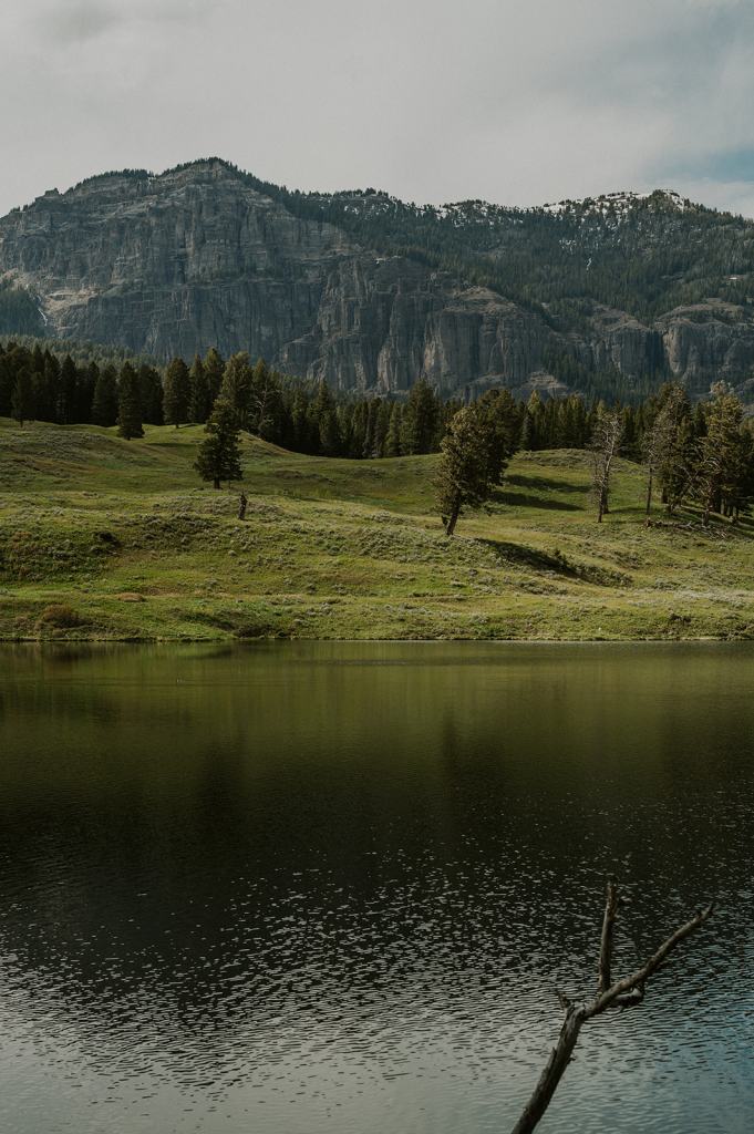 LGBTQ Montana Elopement