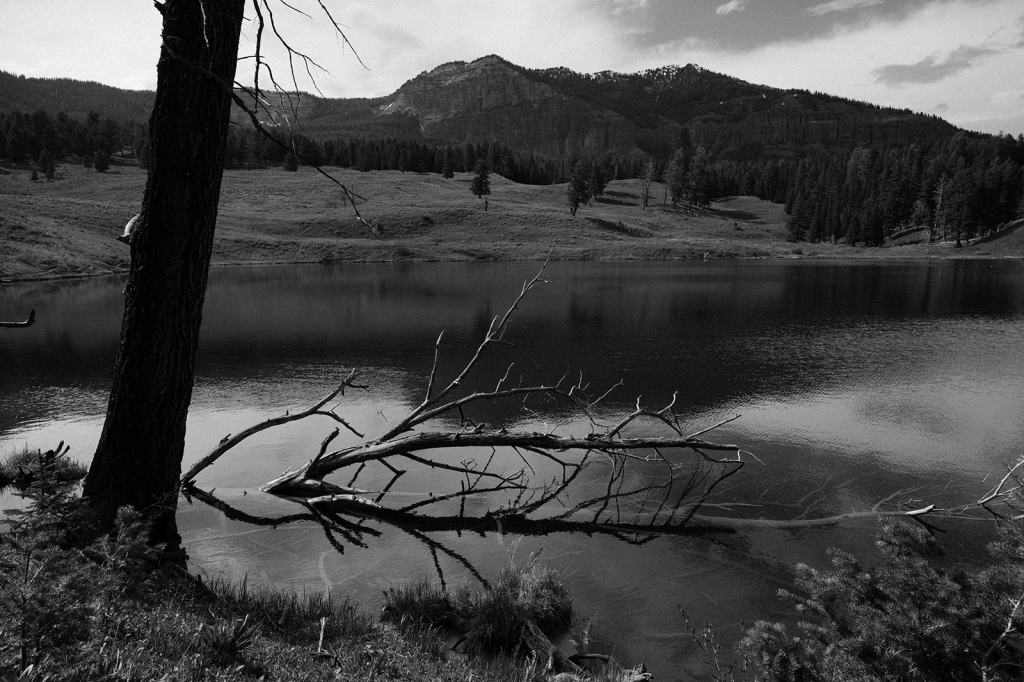 LGBTQ Montana Elopement