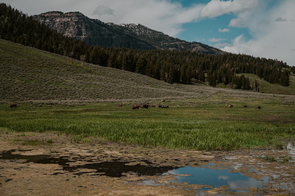 LGBTQ Montana Elopement