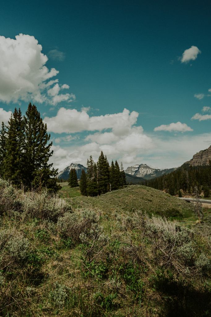 LGBTQ Montana Elopement