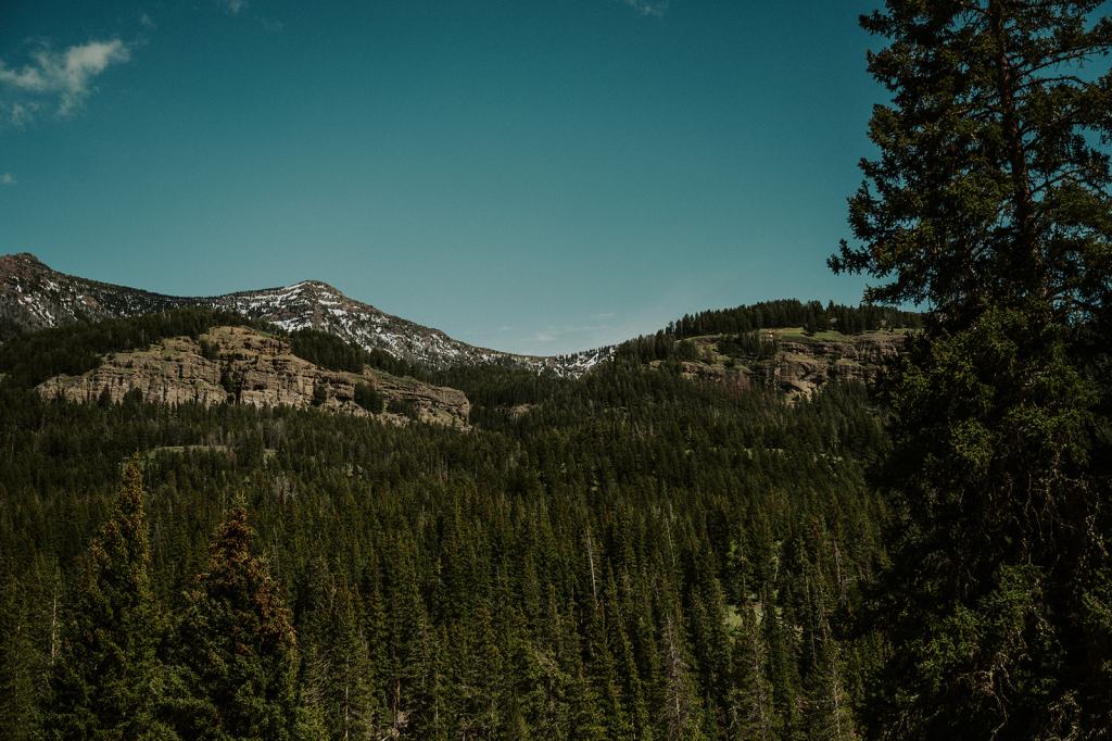 LGBTQ Montana Elopement