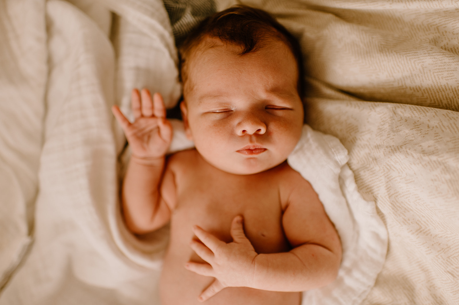 Boise Family Photographer