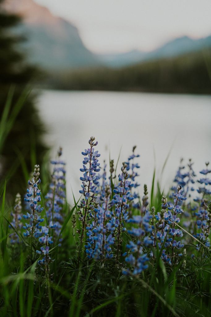 Glacier National Park Elopement