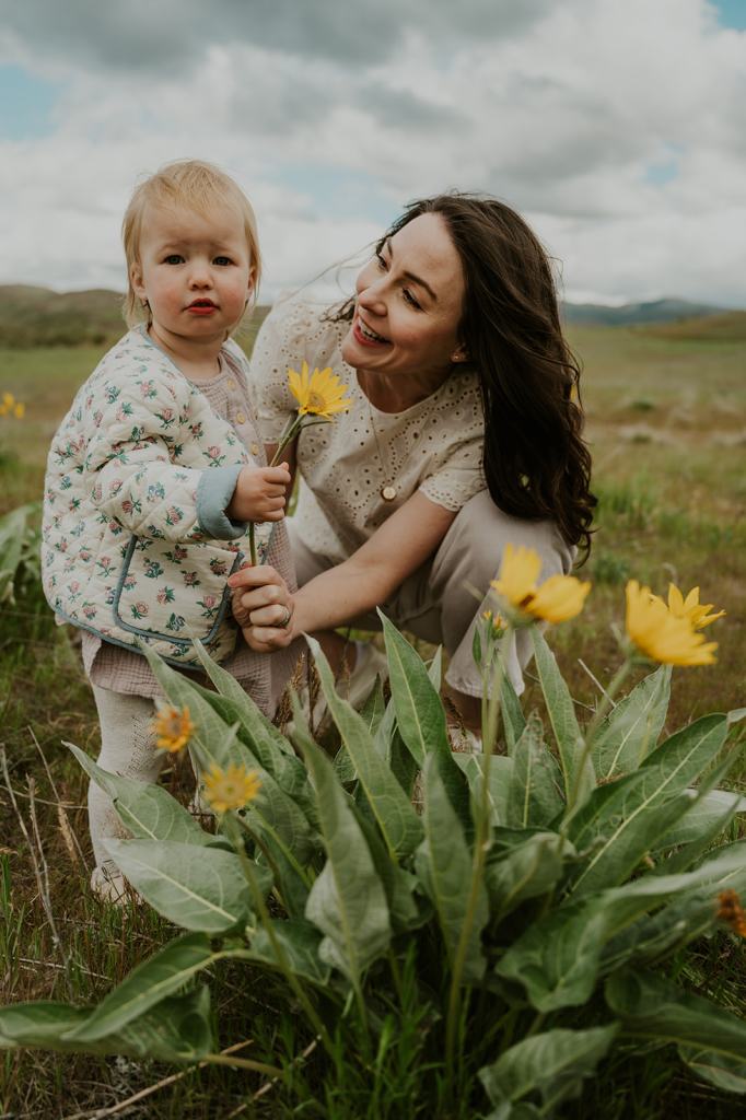 Idaho Wildflower Family Photos 