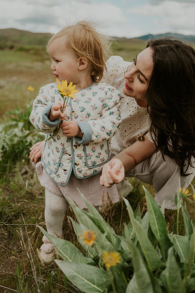 Idaho Wildflower Family Photos 
