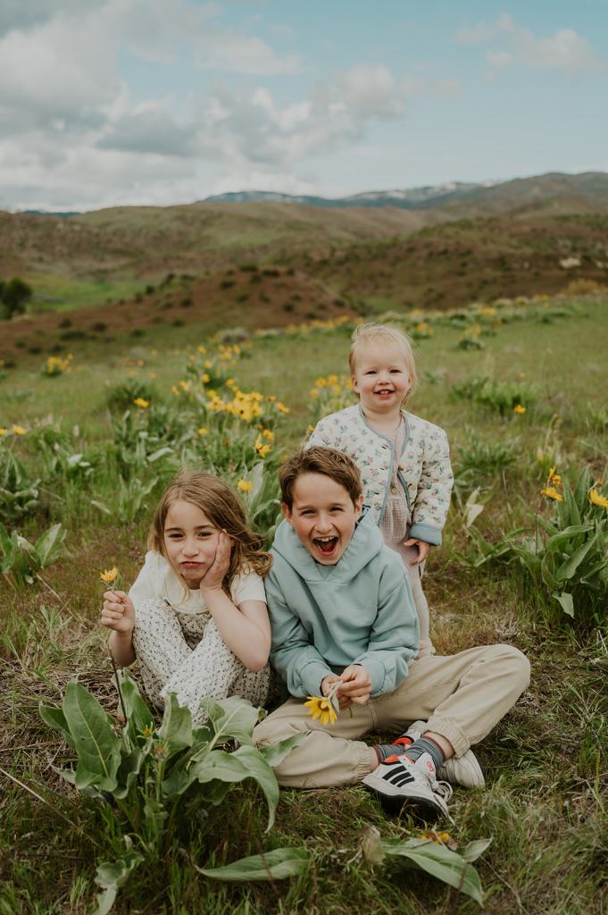 Idaho Wildflower Family Photos 