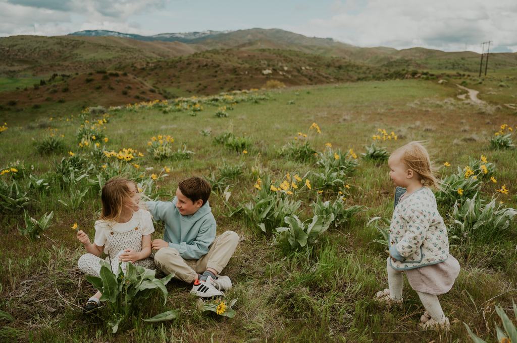 Idaho Wildflower Family Photos 