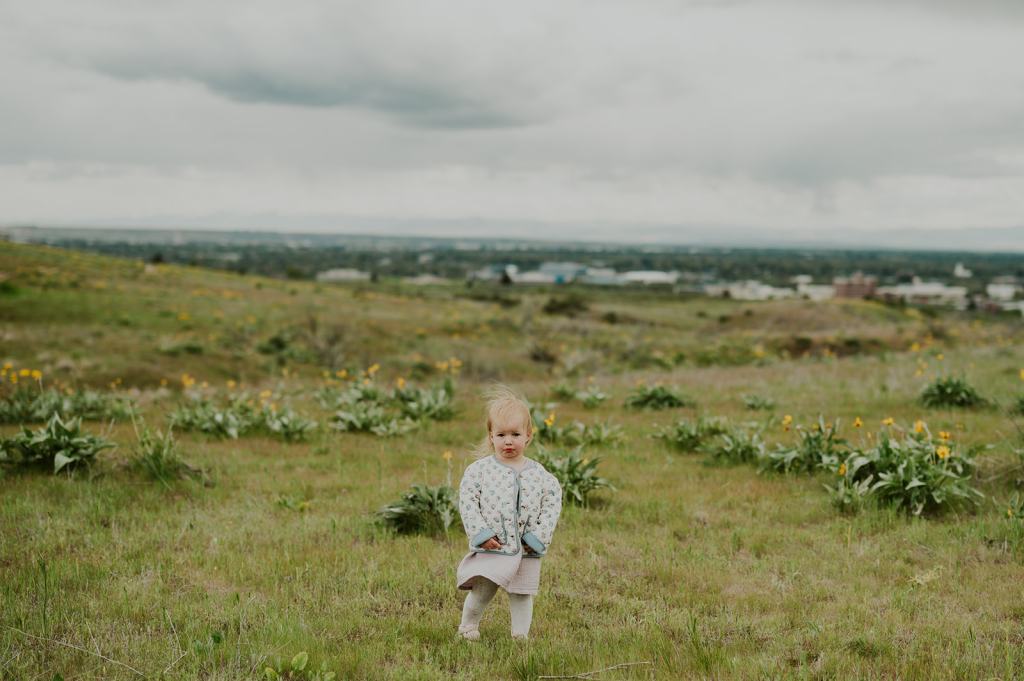 Idaho Wildflower Family Photos 