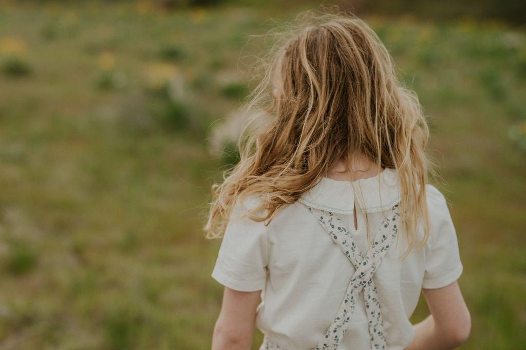 Idaho Wildflower Family Photos 