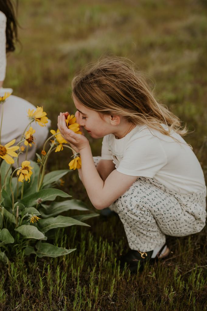 Idaho Wildflower Family Photos 