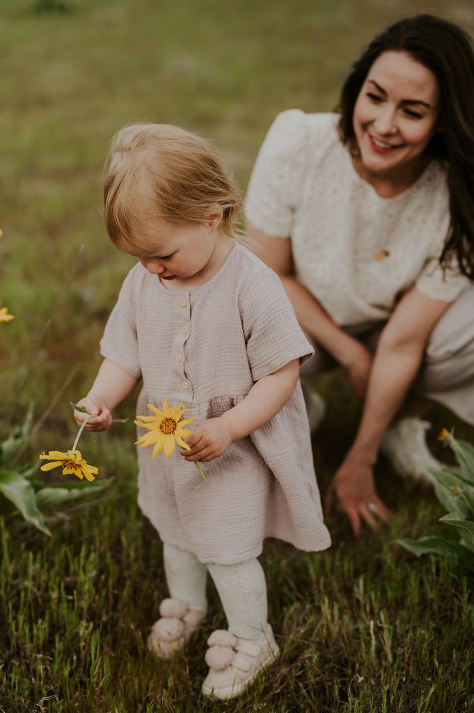 Idaho Wildflower Family Photos 