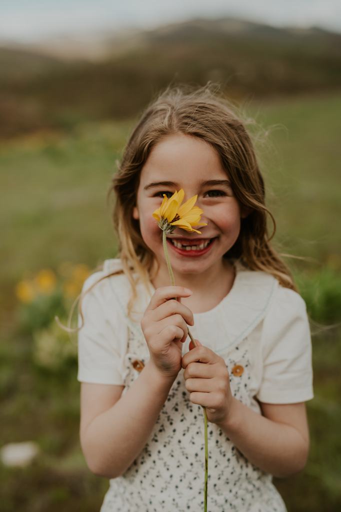 Idaho Wildflower Family Photos 