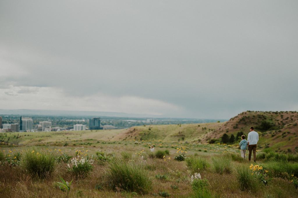 Idaho Wildflower Family Photos 