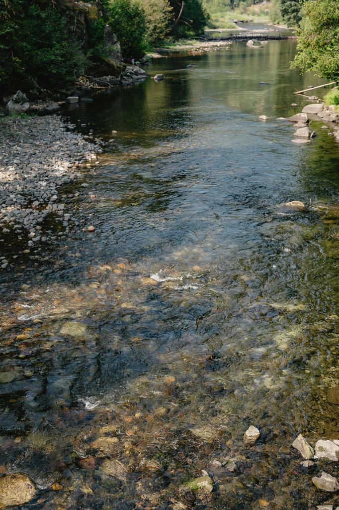 Minam River Lodge Oregon Wedding