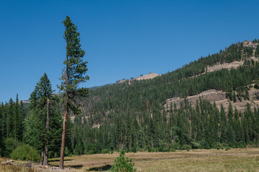 Minam River Lodge Oregon Wedding