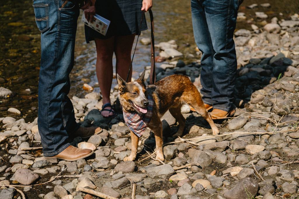 Minam River Lodge Oregon Wedding