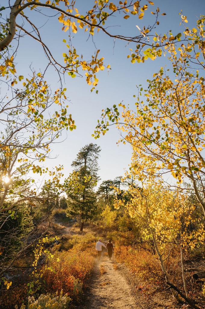 Idaho Fall Mountain Engagement Photos