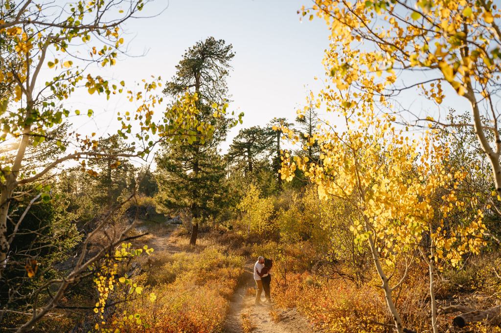Idaho Fall Mountain Engagement Photos