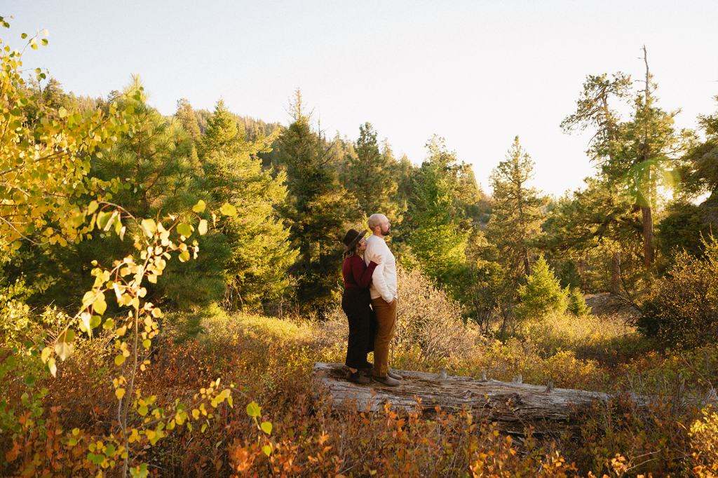 Idaho Fall Mountain Engagement Photos