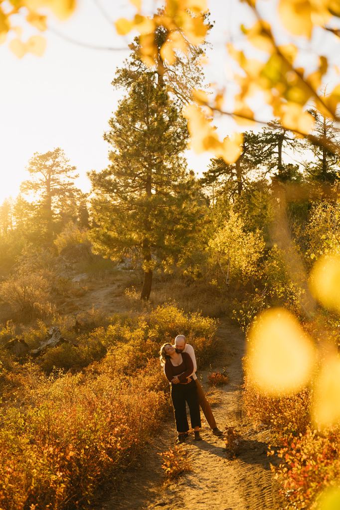 Idaho Fall Mountain Engagement Photos