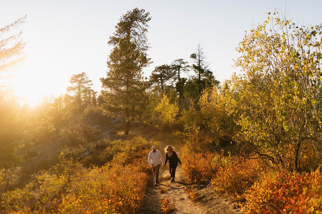 Idaho Fall Mountain Engagement Photos
