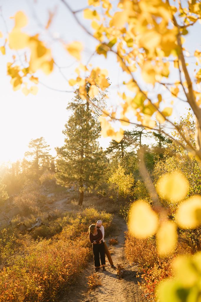 Idaho Fall Mountain Engagement Photos