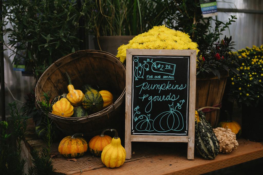 Boise Idaho Wedding in the Gardens