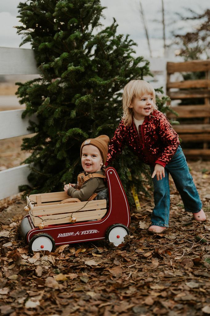 Christmas Tree Farm Family Photos