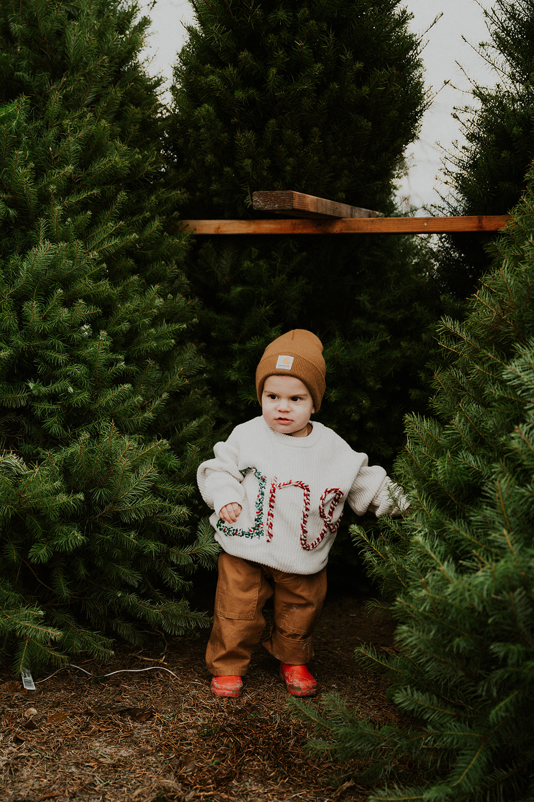 Christmas Tree Farm Family Photos