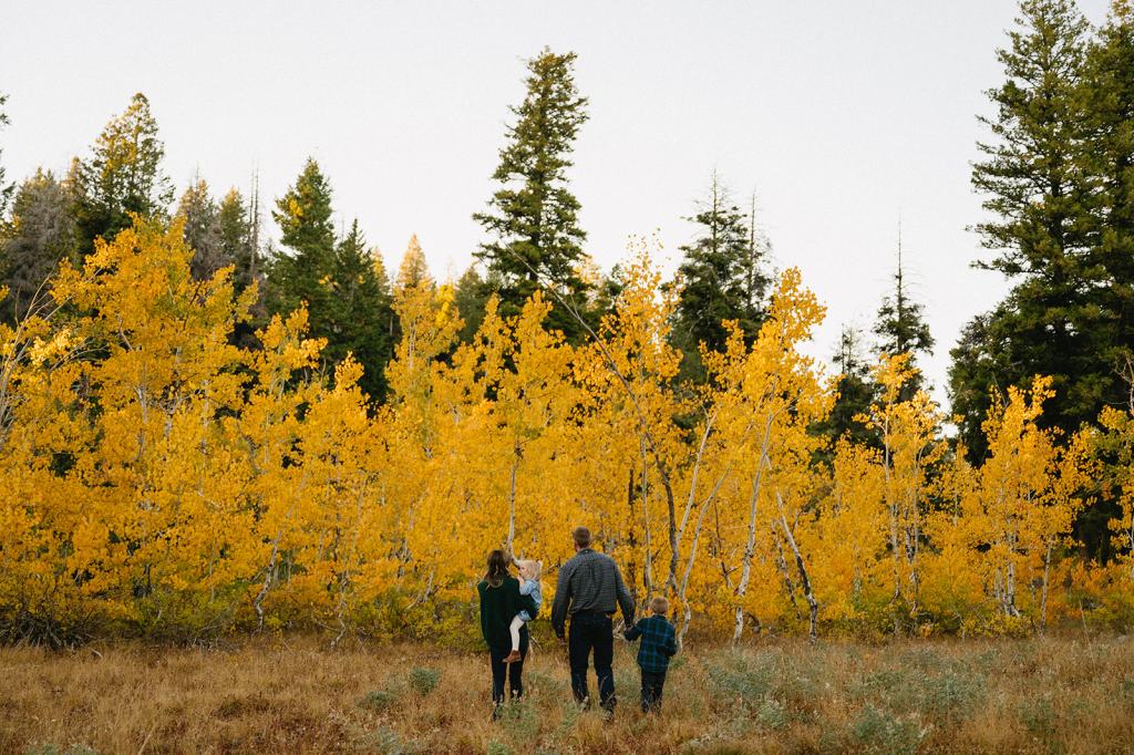 Colorado Family Photos