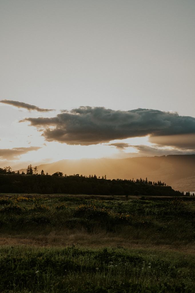 Columbia River Gorge Oregon Engagement Photos Sunset Wildflowers