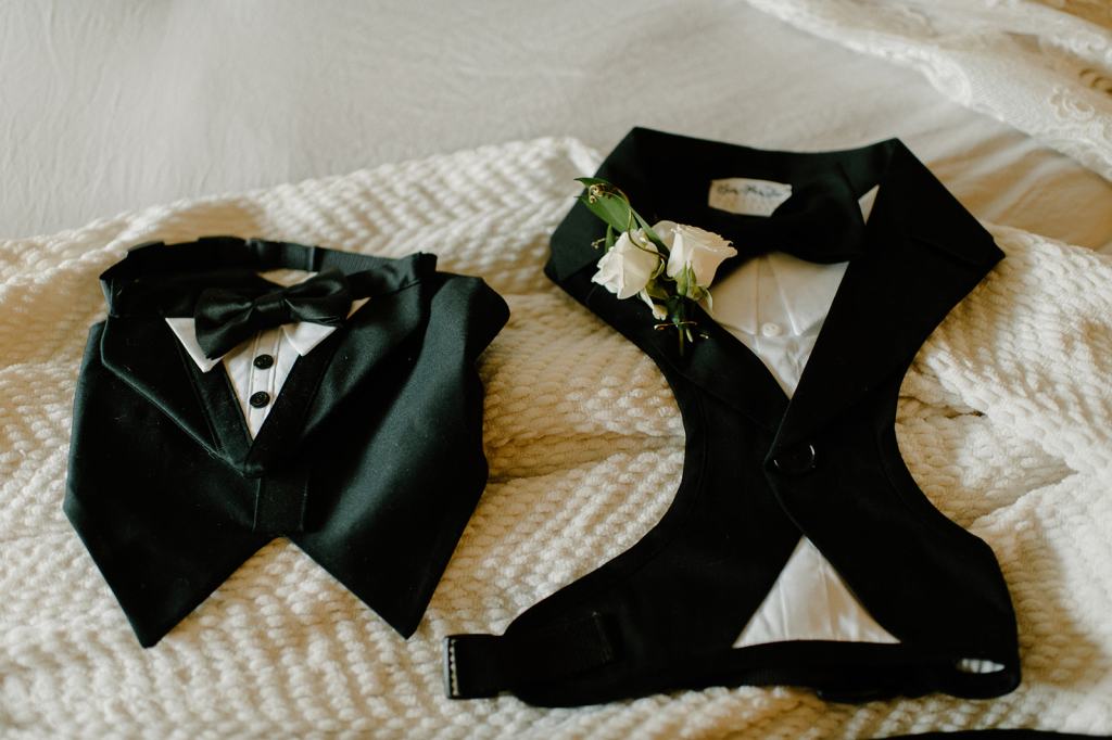Wedding Dog Outfit Black Tie