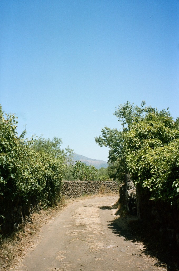 Sicily Italy Travel Photography 35mm Portra 400 Film