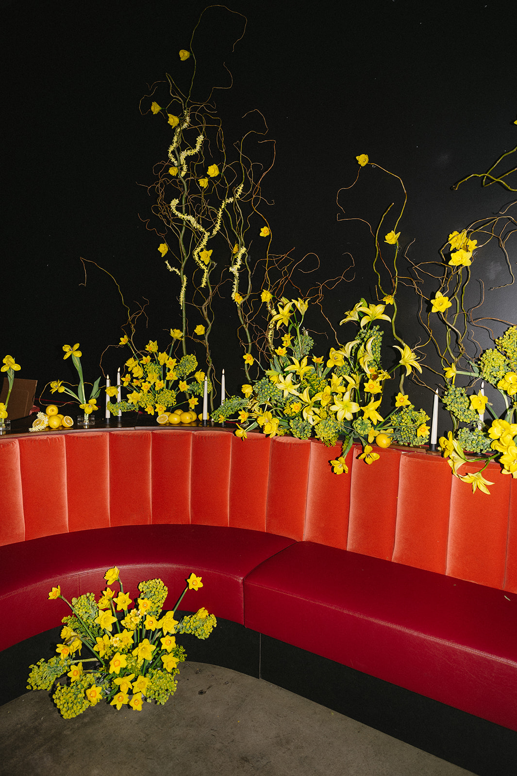 Boise Idaho Event Photographer